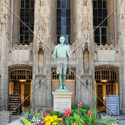 Tribune Tower by Jorge Molina