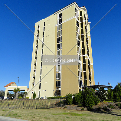 Sienna on the Coast by Chris Patriarca