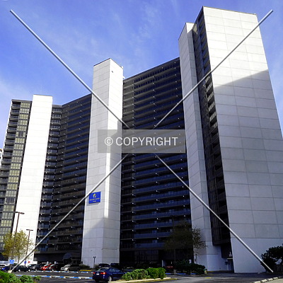 Golden Sands by Chris Patriarca
