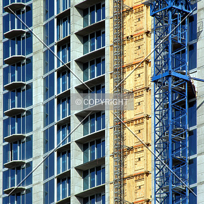 Avenue by Chris Patriarca