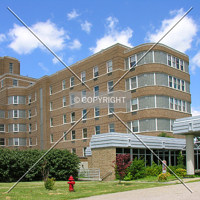 Silvercrest by Lizzie Morrison