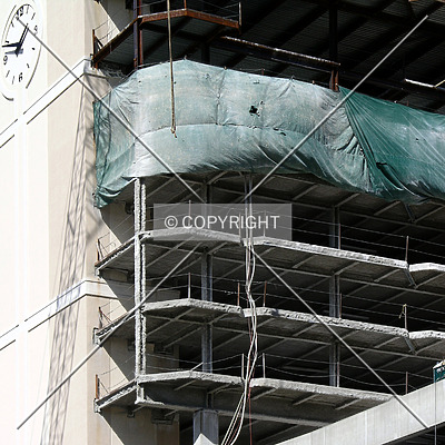 The Madison Charlotte by Chris Patriarca