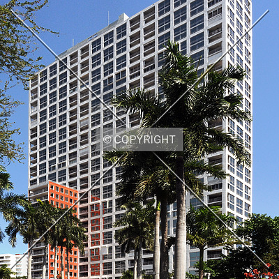 The Palace by Jorge Molina