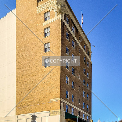 Forrest Hotel by Ryan Hildebrand