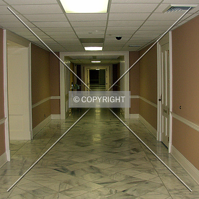 Alabama State Capitol by Chris Patriarca