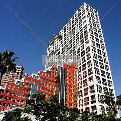 The Palace by Jorge Molina