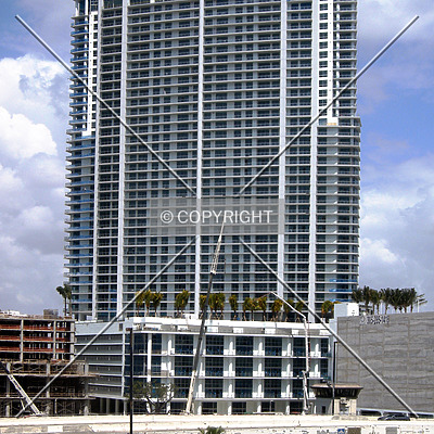 The Ivy by Jorge Molina