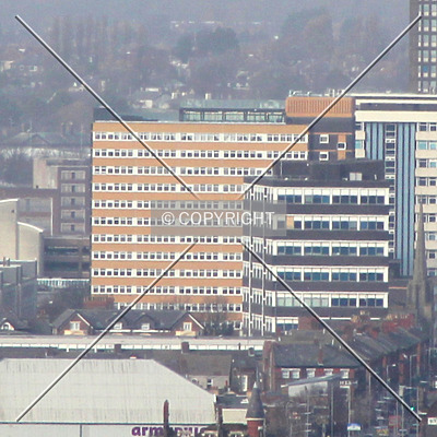 Daniel House by Florian Barbier