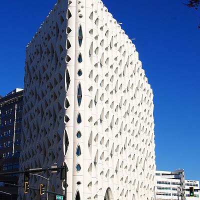 Populus by Brian LoBue