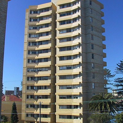 The Pines by John Bek