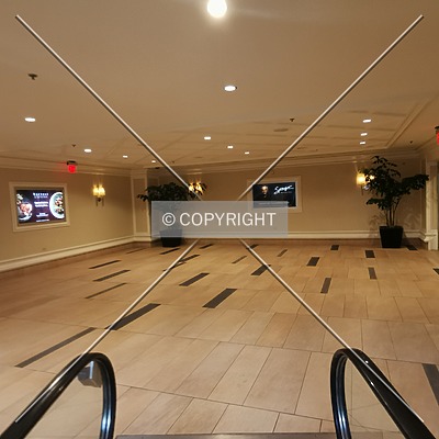 Bellagio Resort & Casino by Nephilim