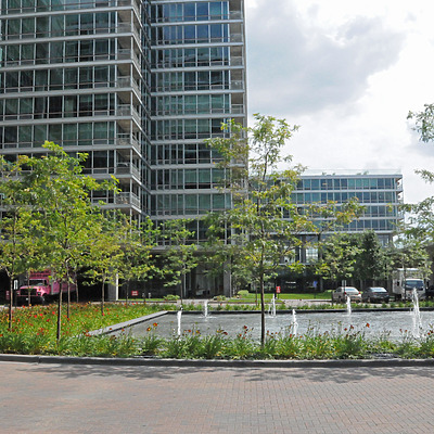 Optima Old Orchard Woods by Shawn Ursini