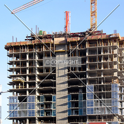 The Mark by Chris Patriarca