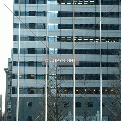 STEC Information Building by Andrew Stewart