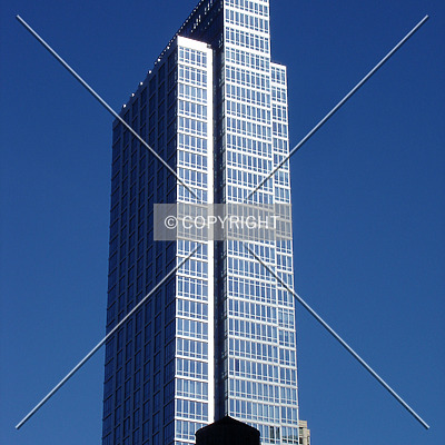 The Link by Royce Douglas