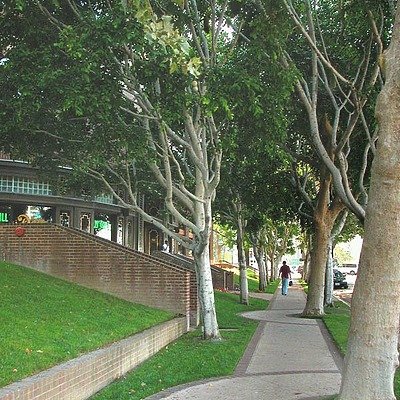 Central Park Building by Jim Schwartz