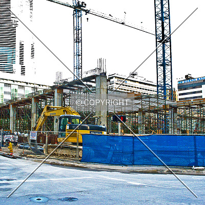 Monarc at Met 3 by Jorge Molina