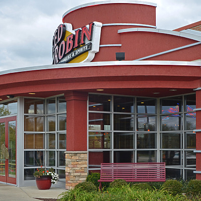 Red Robin by Shawn Ursini