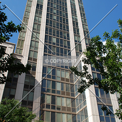 The Pearl by Royce Douglas