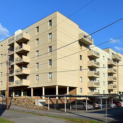 Fort Henry Arms by John W. Cahill
