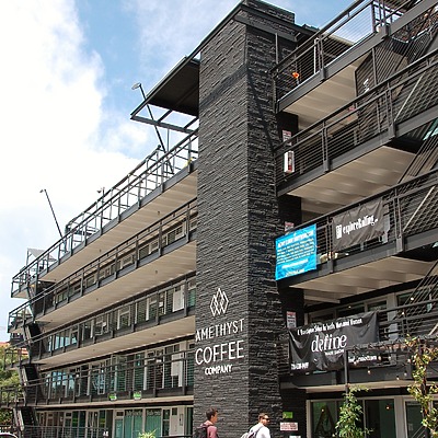 The Metlo by Brian LoBue