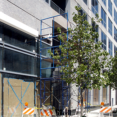 Sky55 by Daniel Kieckhefer