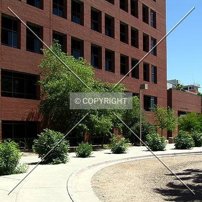 Gould-Simpson Building by Chris Patriarca