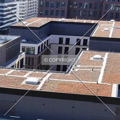 DB Brick by Nephilim