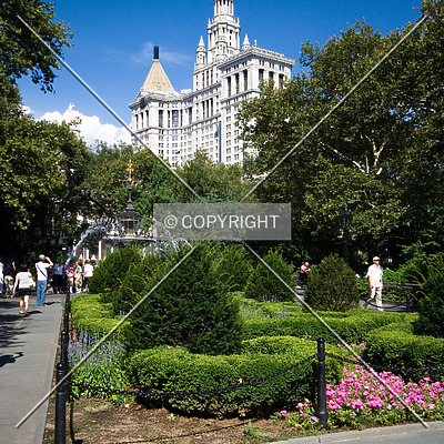 Manhattan Municipal Building by Serdica