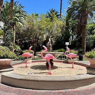 Flamingo Las Vegas by Julie Tremaine