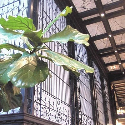 Reliance Building by Daniel Kieckhefer