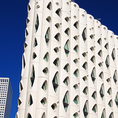 Populus by Brian LoBue