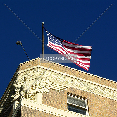 Forrest Hotel by Chris Patriarca