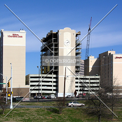 The Madison Charlotte by Chris Patriarca