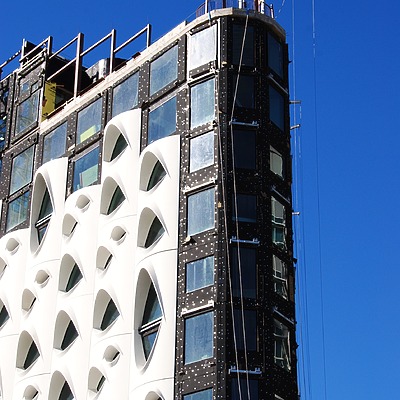 Populus by Brian LoBue