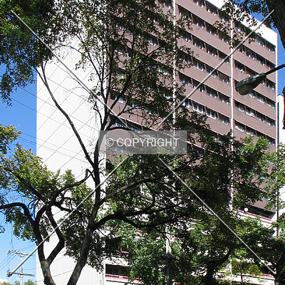 375 Assiniboine Avenue by Emmanuel D.