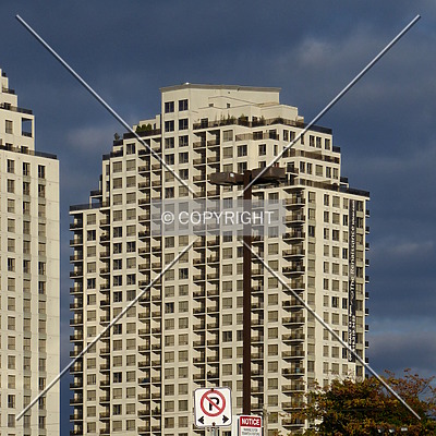 The Renaissance One by Chris Patriarca