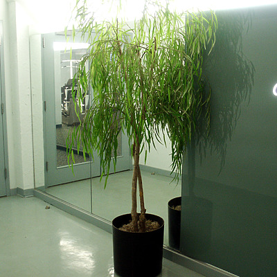 Windermere House by Daniel Kieckhefer