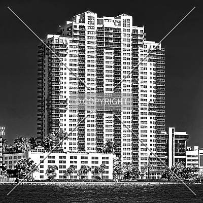 The Floridian by Jorge Molina