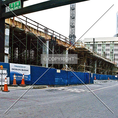 Monarc at Met 3 by Jorge Molina