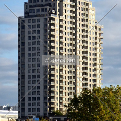 The Renaissance One by Chris Patriarca