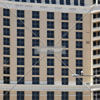 Bellagio Resort & Casino by Nephilim