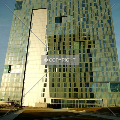 The Evo by Chris Patriarca