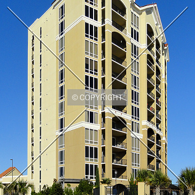 Sienna on the Coast by Chris Patriarca