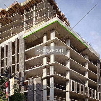 One Cardinal Way by Ryan Hildebrand