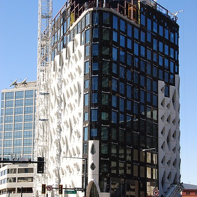 Populus by Brian LoBue