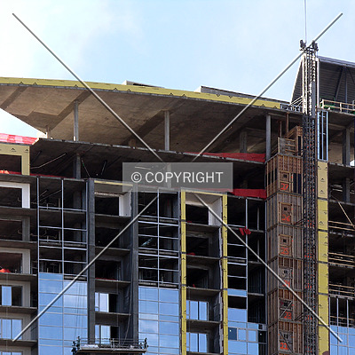 TradeMark by Chris Patriarca