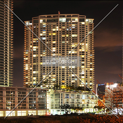 The Ivy by Jorge Molina