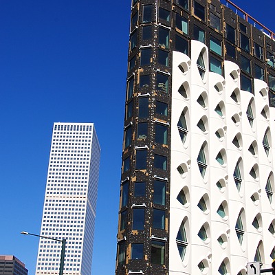 Populus by Brian LoBue