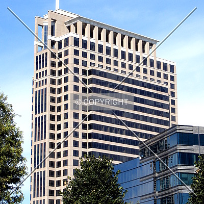 Monarch Tower by Clayton Odom